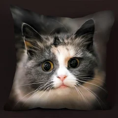 подушка - кошачья мордочка